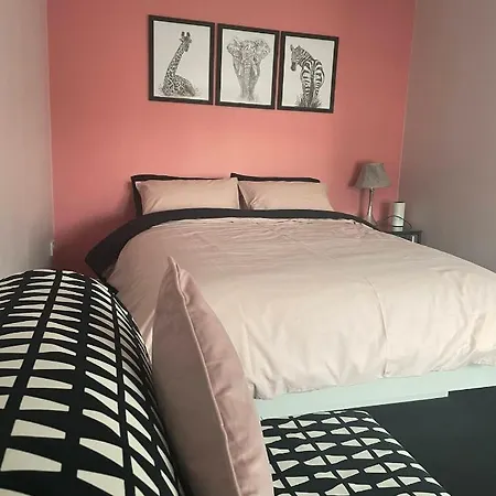 Apartment No 18 Main